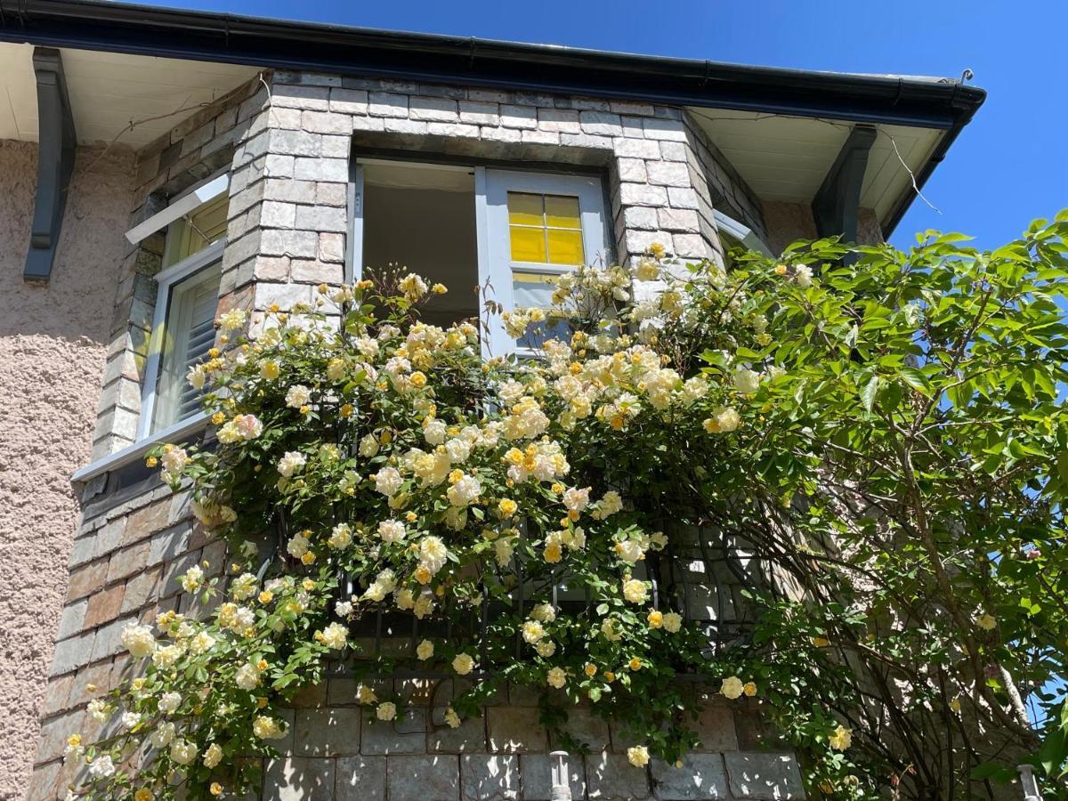 แบรดลีห์ ลอดจ์ Bed & Breakfast เซนต์ออสเทลล์ ภายนอก รูปภาพ